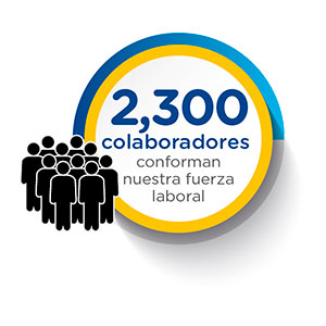 2300 Colaboradores