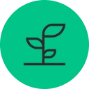 Reforestación de 24 hectáreas