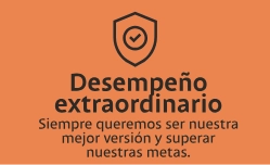 Desempeño Extraordinarío