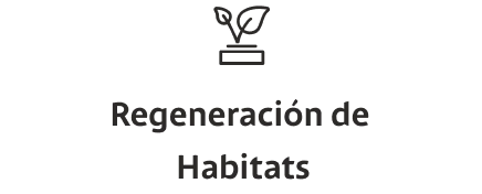 Regeneración de Habitats
