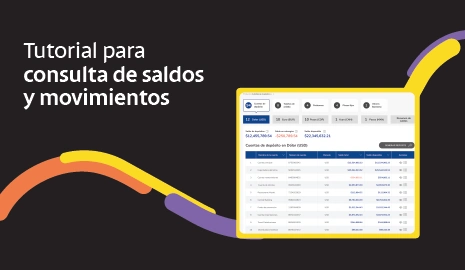 Consulta de saldos y movimientos