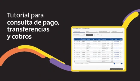 Consulta de pago, transferencias y cobros