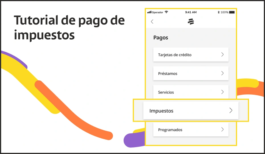 Pago de Impuestos Personas