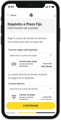 Paso 6