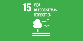 Vida de Ecosistemas terrestres